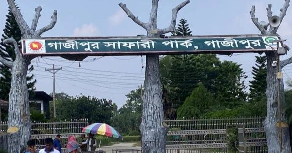 Nihar Kali, Samrat Bahadur return to Safari Park