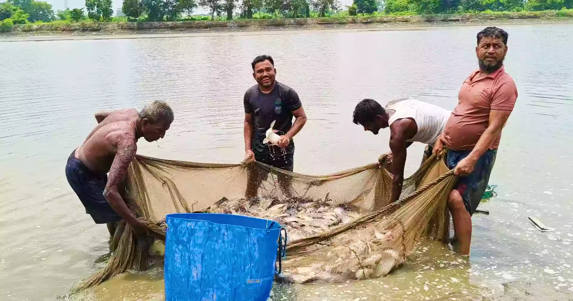 A Tk 2,500 crore harvest from water: Daudkandi’s fisheries miracle