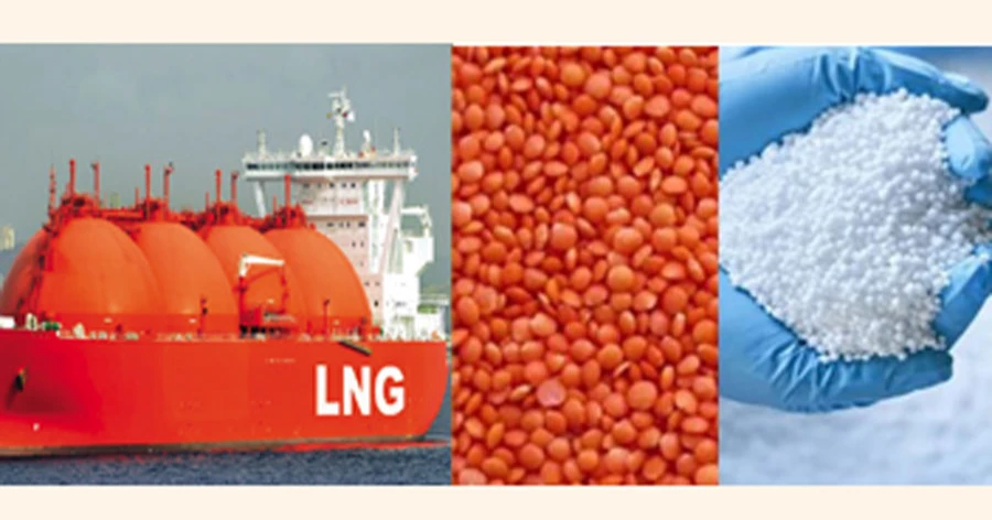 Govt to import LNG, fertiliser, lentil to meet the domestic demands