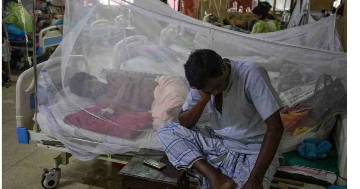 Dengue: 430 more dengue cases reported in 24hrs