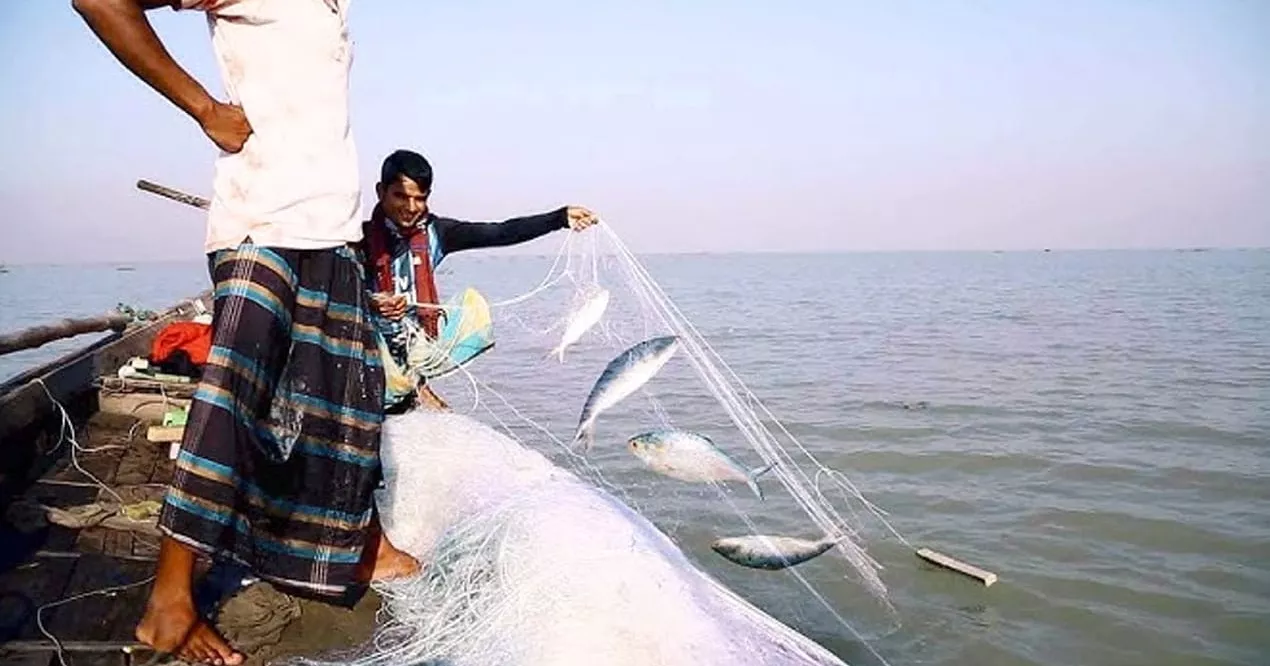 8-month ban on catching jatka hilsa begins tonight