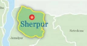 Man killed in wild elephant attack in Sherpur