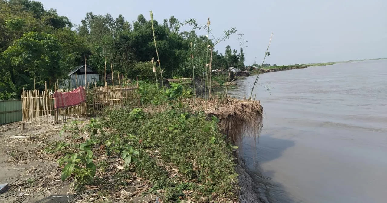 Brahmaputra erosion leaves 30 families homeless in Kurigram char, 100 more at risk