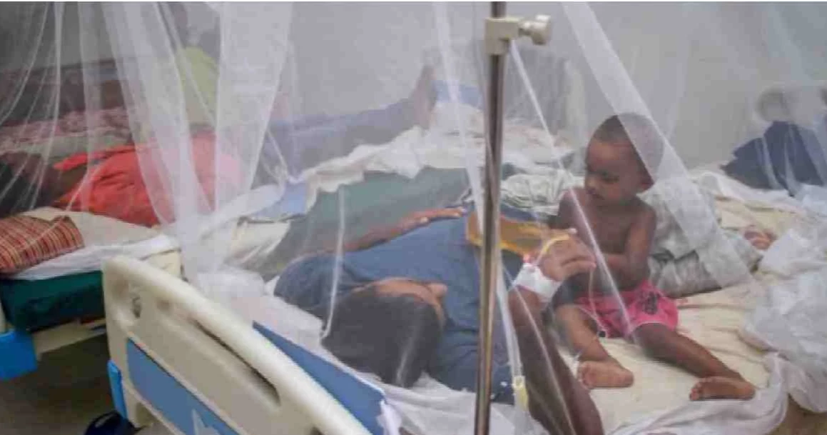 5 more die of dengue; 1139 hospitalised in 24 hours