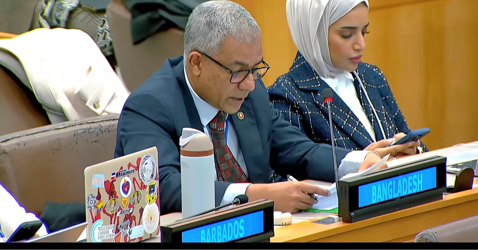 Bangladesh seeks urgent international actions for Rohingya repatriation