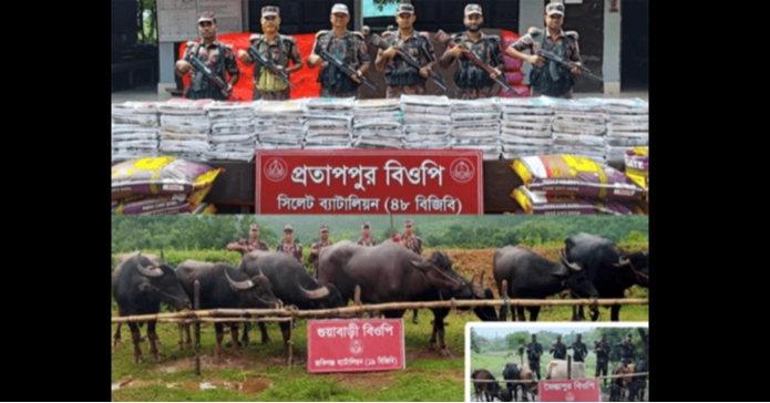 BGB seizes Indian goods worth Tk 3.3 crore in Sylhet border drives