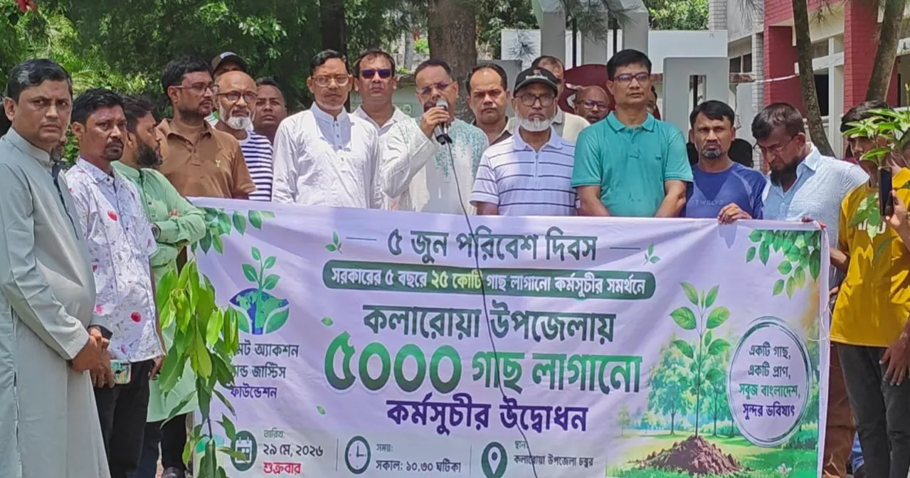 No alternative to extensive afforestation to protect environment, combat climate change