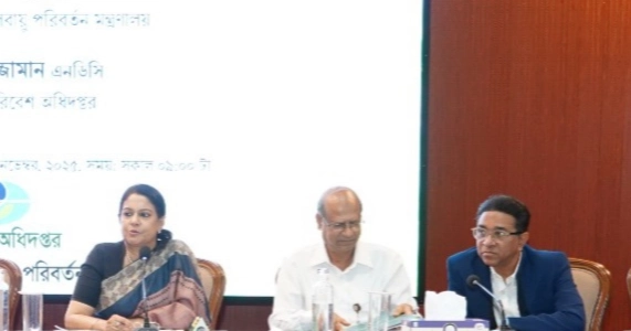 Mandatory green building policy a must for sustainable cities: Rizwana