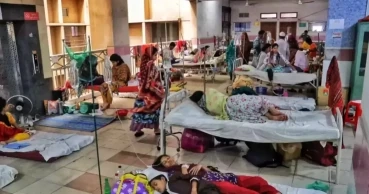 Dengue: One more death reported in 24 hrs