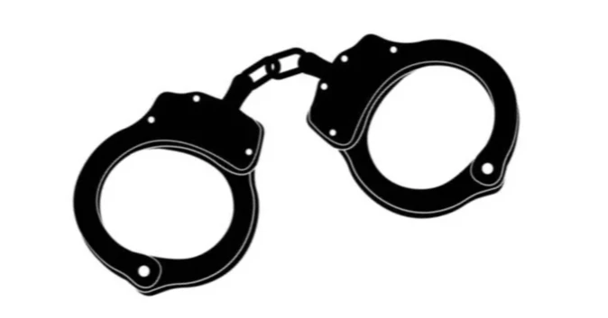 Two held over gang-rape in Bhola, BNP expels three leaders