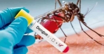 Dengue: One more death reported in 24 hrs
