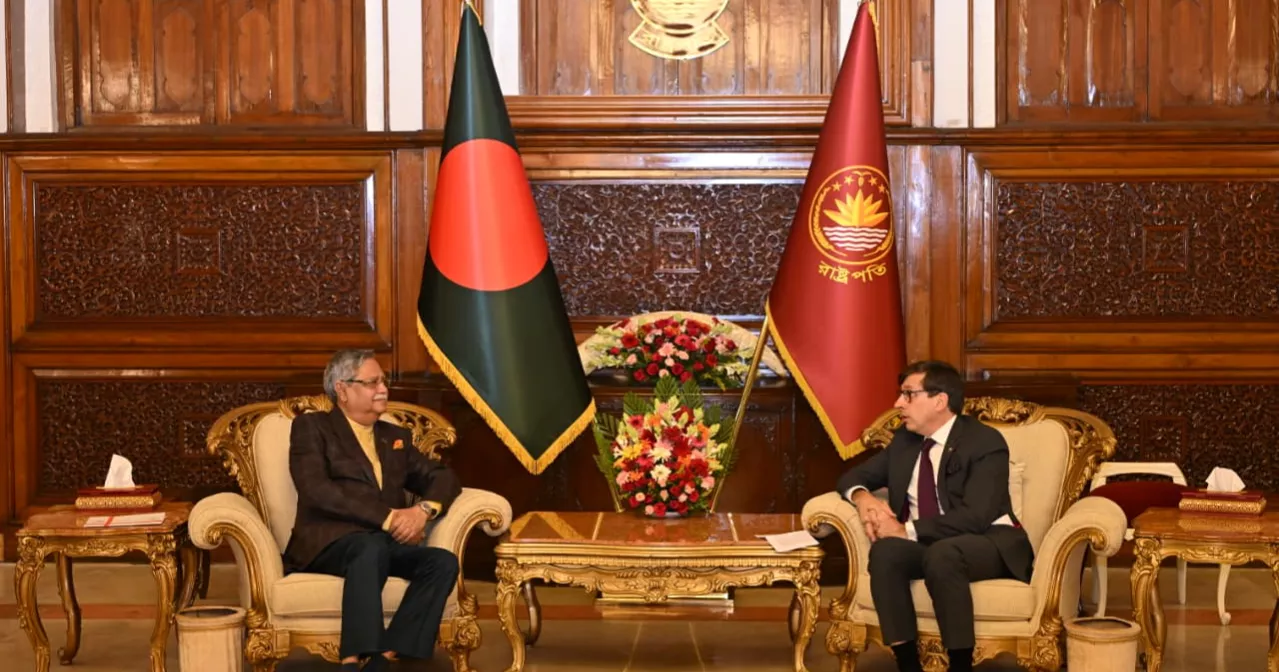 French Ambassador presents credentials to President