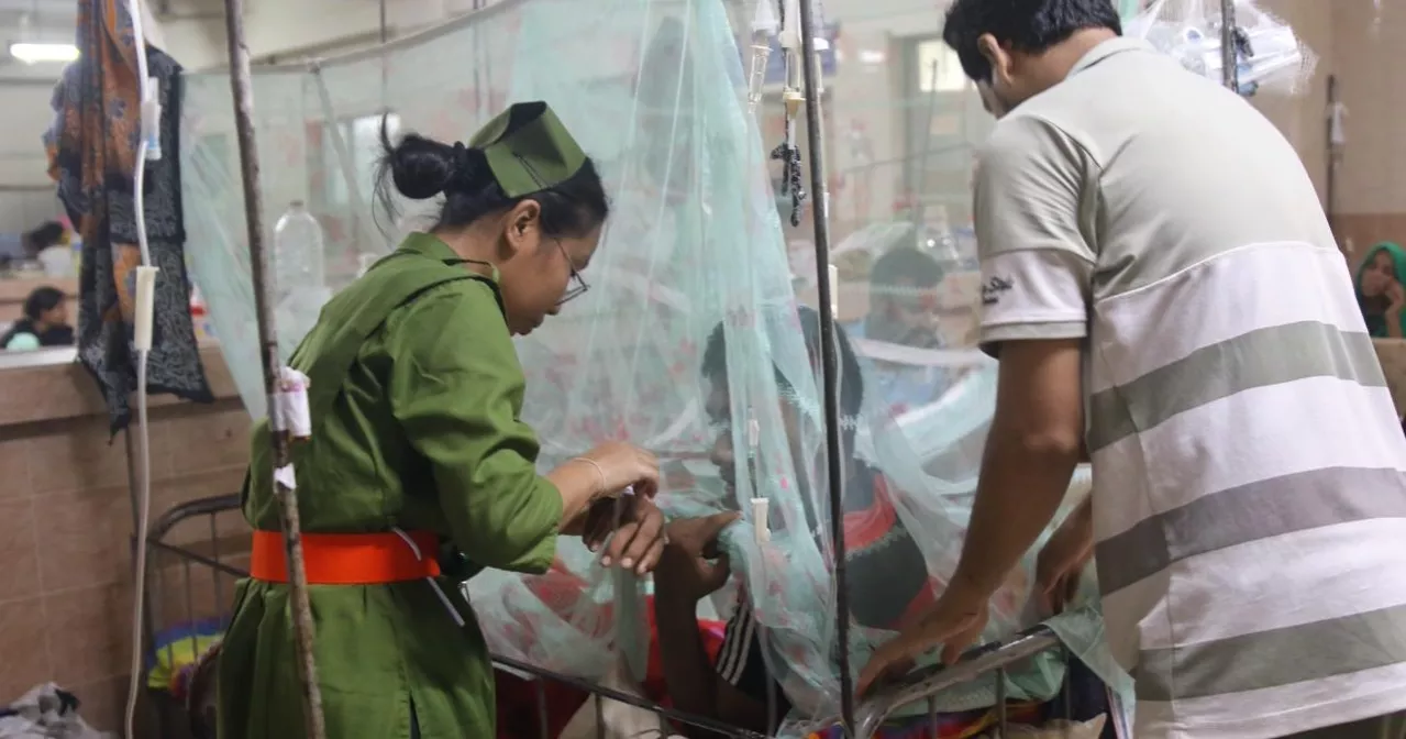 Dengue claims 6 more lives, 1,608 hospitalised in 24 hrs