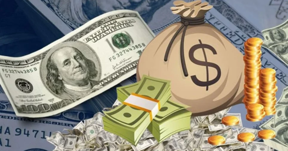 Pressure mounts to repay foreign debt: ERD report