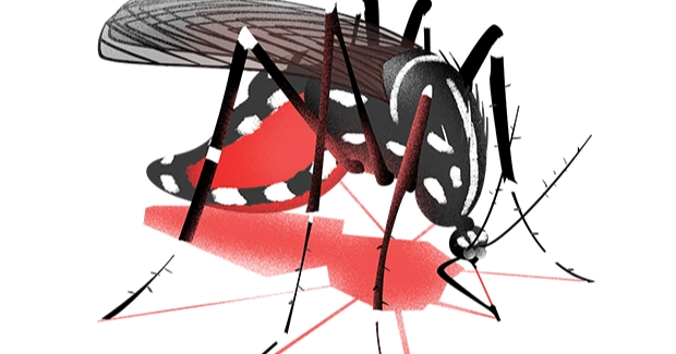 308 dengue cases reported in 24 hours