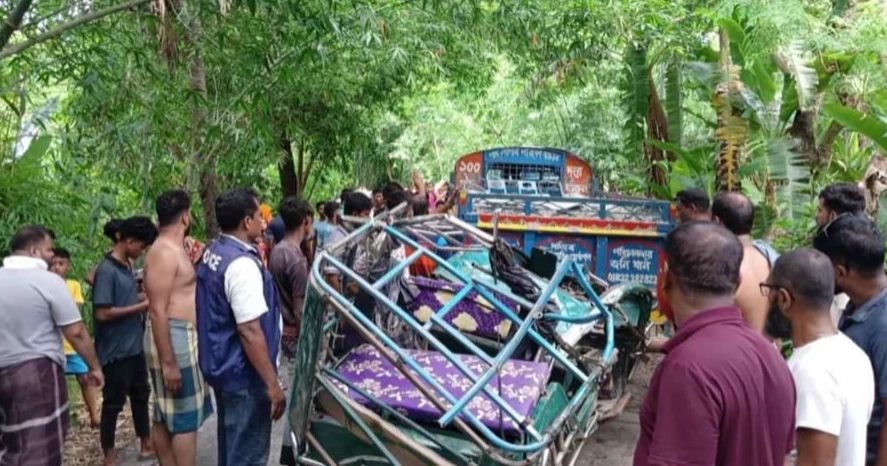 Elderly couple killed in road crash in Narail