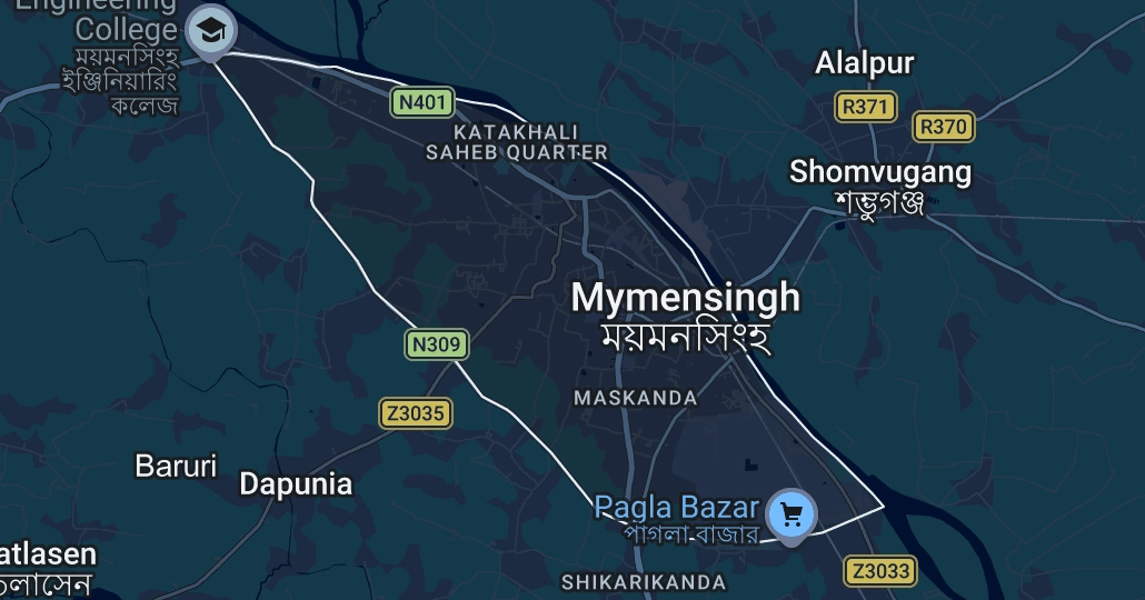 Woman, granddaughter die after being stung by hornets in Mymensingh