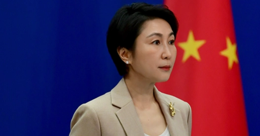 China's foreign trade continues to grow despite challenges posed by tariff barriers