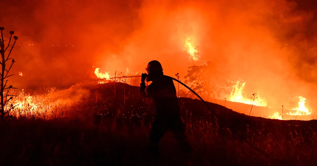 Fast-moving wildfire forces evacuations near Greece's Thessaloniki