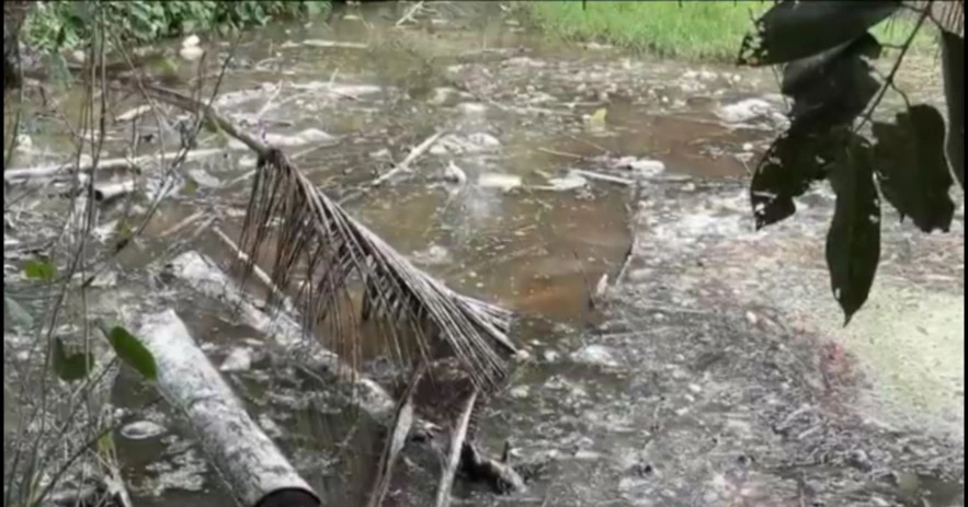 Unregulated poultry farms push Feni into a growing environmental crisis