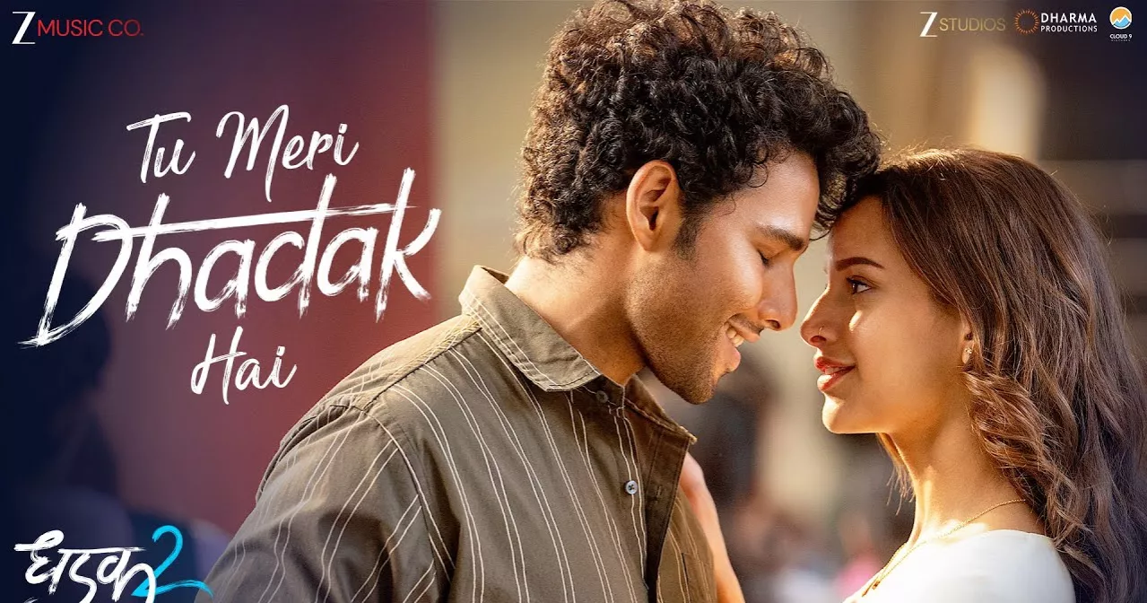 Triptii Dimri and Siddhant Chaturvedi Starrer Dhadak 2: Screen Performance, Box Office and OTT Release Update