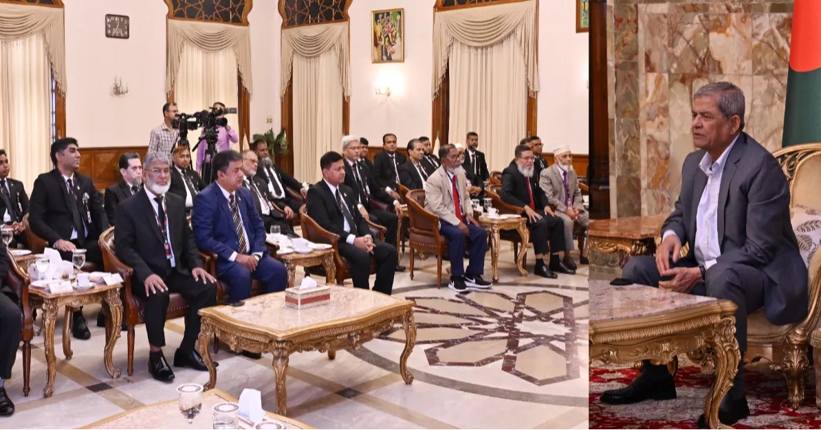 President urges tax lawyers to uphold social values, strengthen democracy