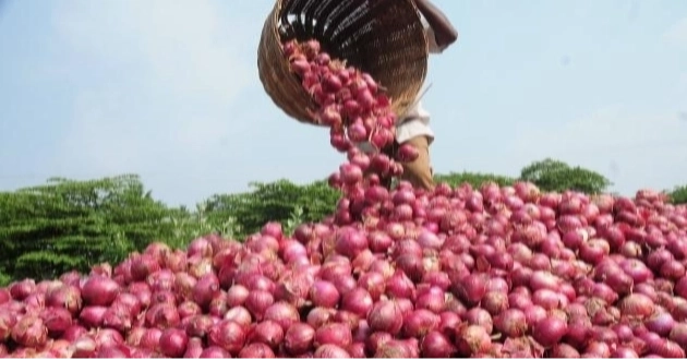 Govt to allow onion import to curb price hike: Commerce Adviser 
