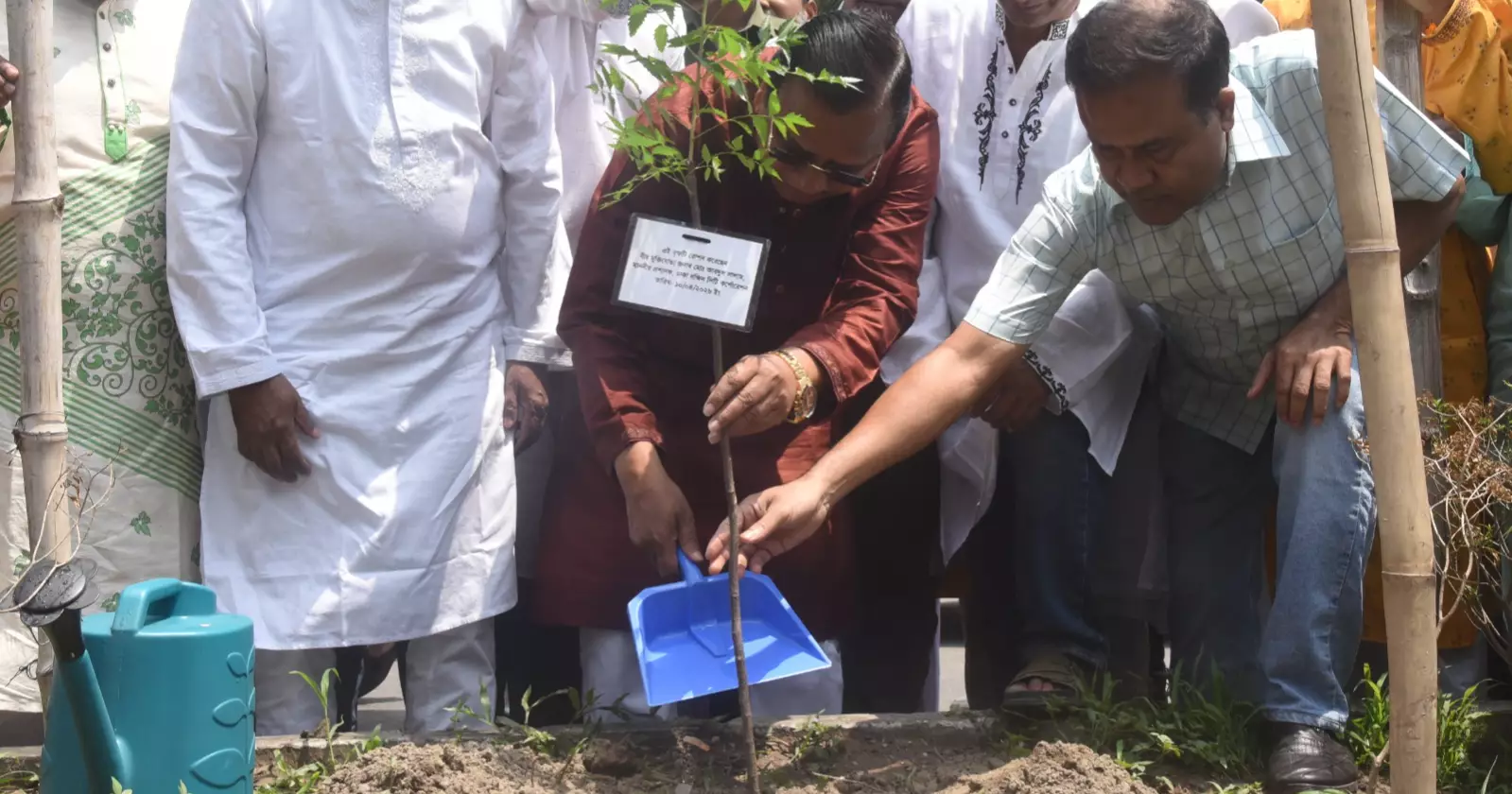 DSCC to plant 300,000 trees over five years