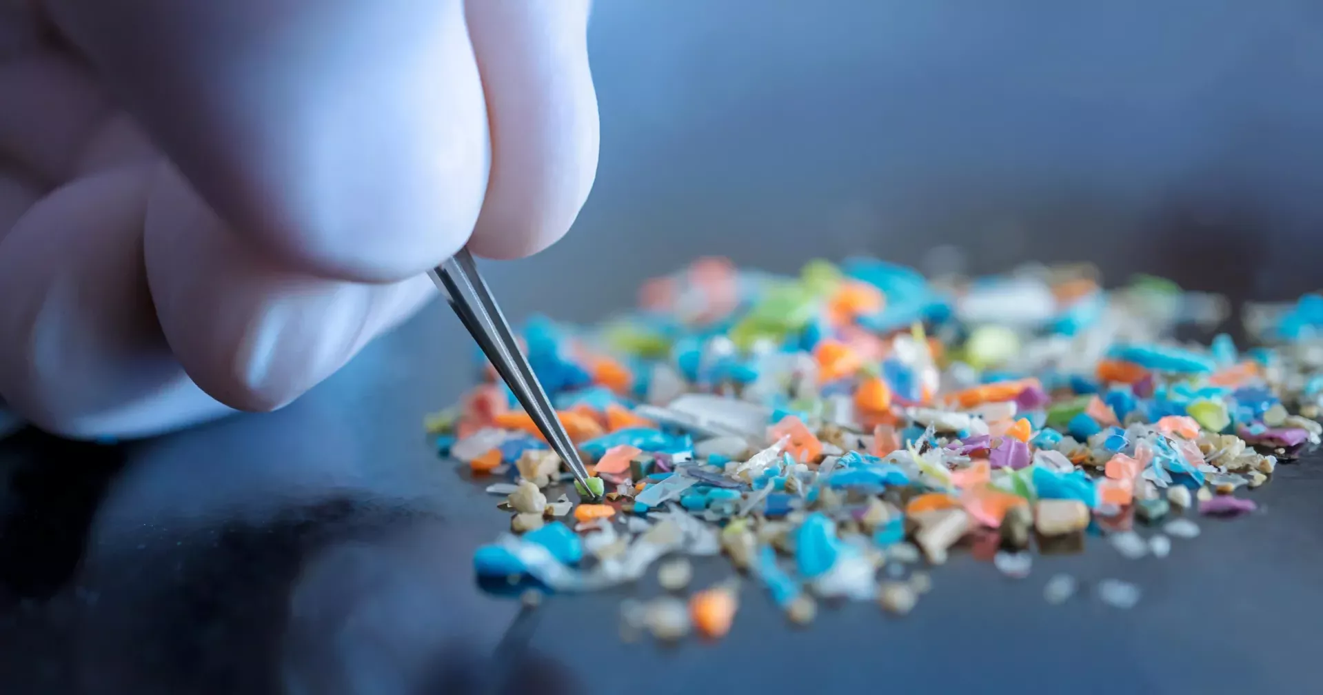 Study finds common lab gloves may inflate microplastics counts