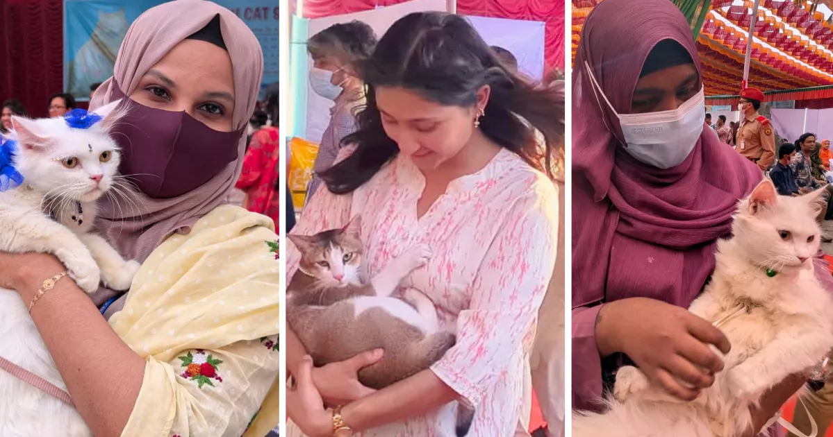 'Cat Show' at BAU marks World Pet Day