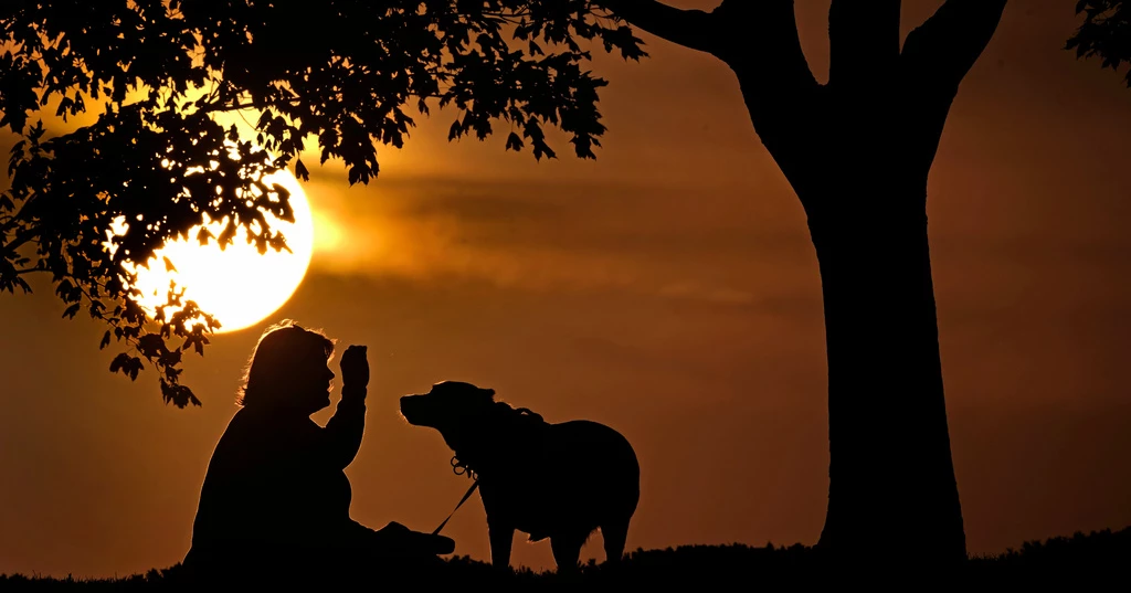 How daylight saving time changes affect health and how to prepare