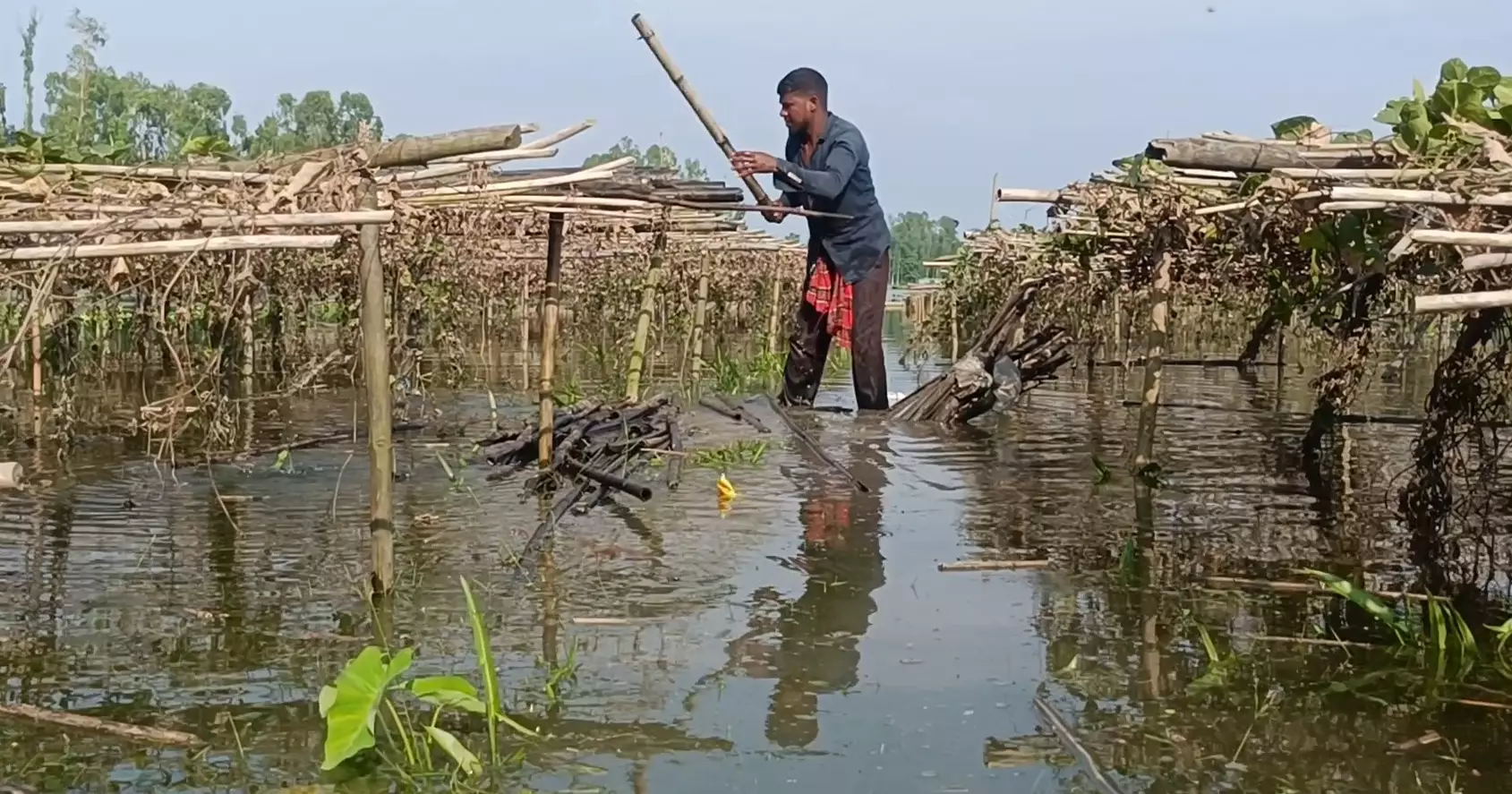 Heavy rain, floods cause extensive crop damage in Kurigram