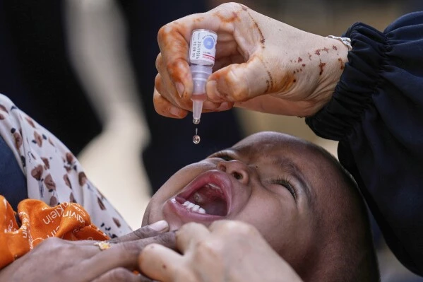 Global Polio Eradication Setback Blamed on Falsified Records, Vaccine Challenges and Strategic Missteps