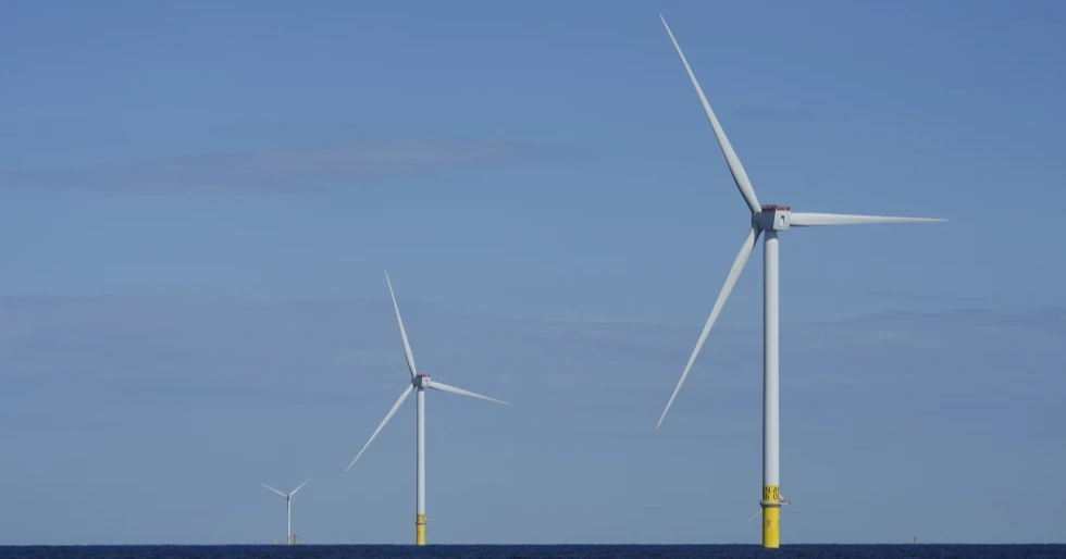 States sue Trump administration for blocking the development of wind energy