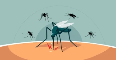 244 more dengue cases reported in 24 hrs