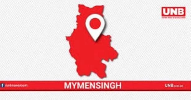2 minor siblings killed in Mymensingh road crash
