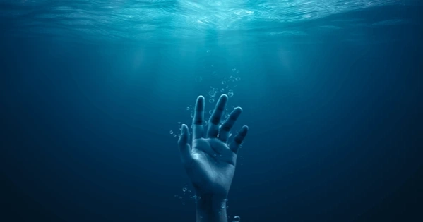 Two youths drown in Meherpur