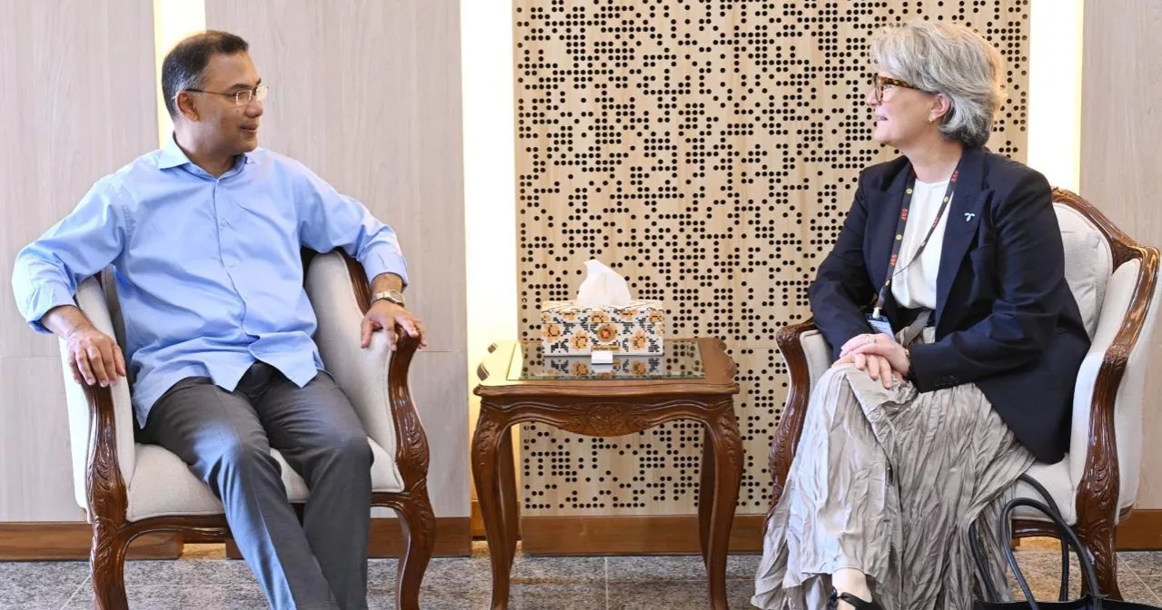 Telenor CEO meets PM Tarique