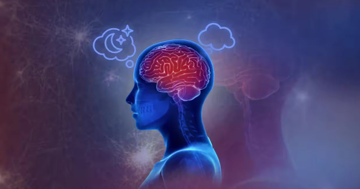 New study links muscle loss to higher dementia risk