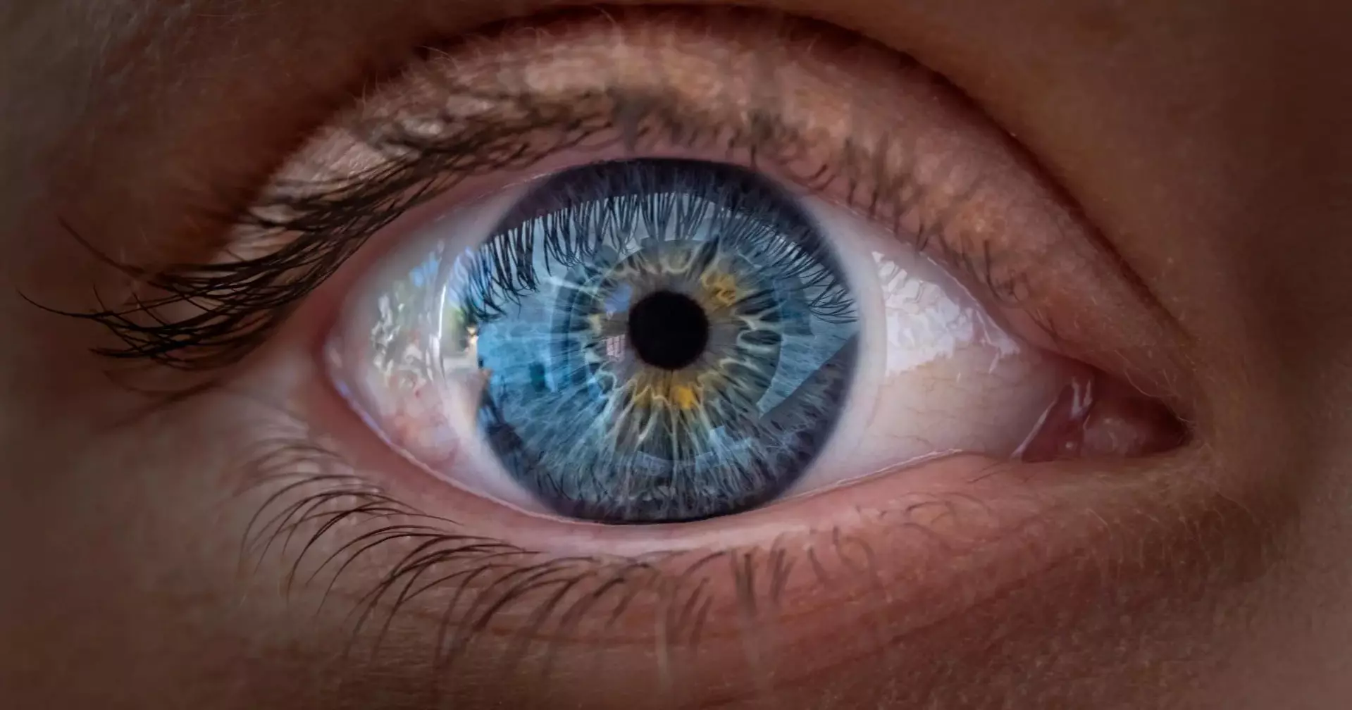 Vitamin A discovery challenges decades-old understanding of how human vision develops