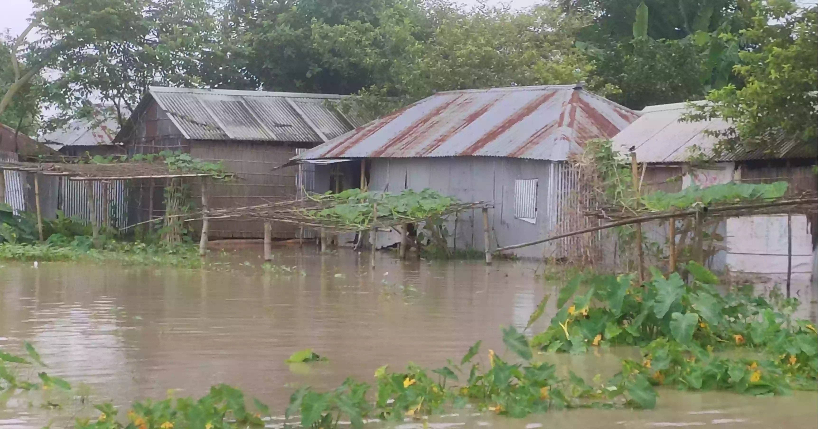 Rising river water levels trigger flooding in Kurigram, submerging fields and homes