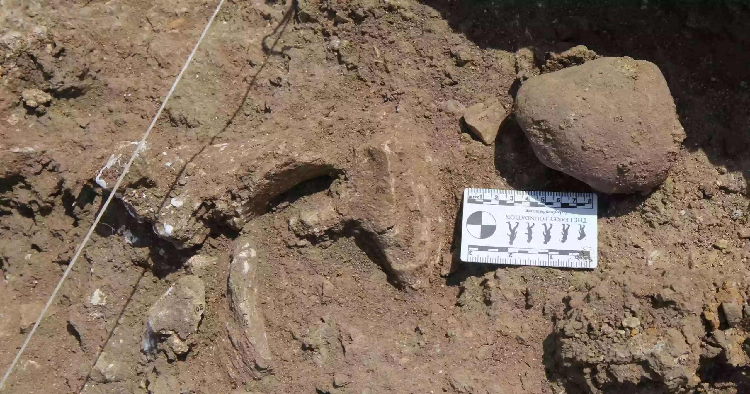 Study shows Stone Age humans strategically selected rocks for tools