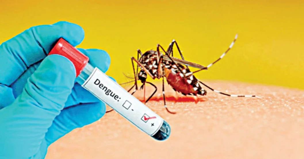 Dengue claims 3 more lives; 492 hospitalised in 24hrs