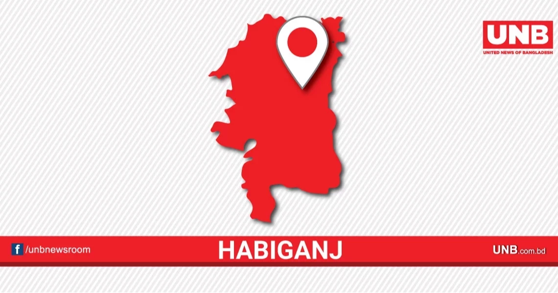 Girl, 4, sexually harassed in Habiganj; cousin arrested
