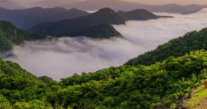 China leads global push for ecological civilization: Experts