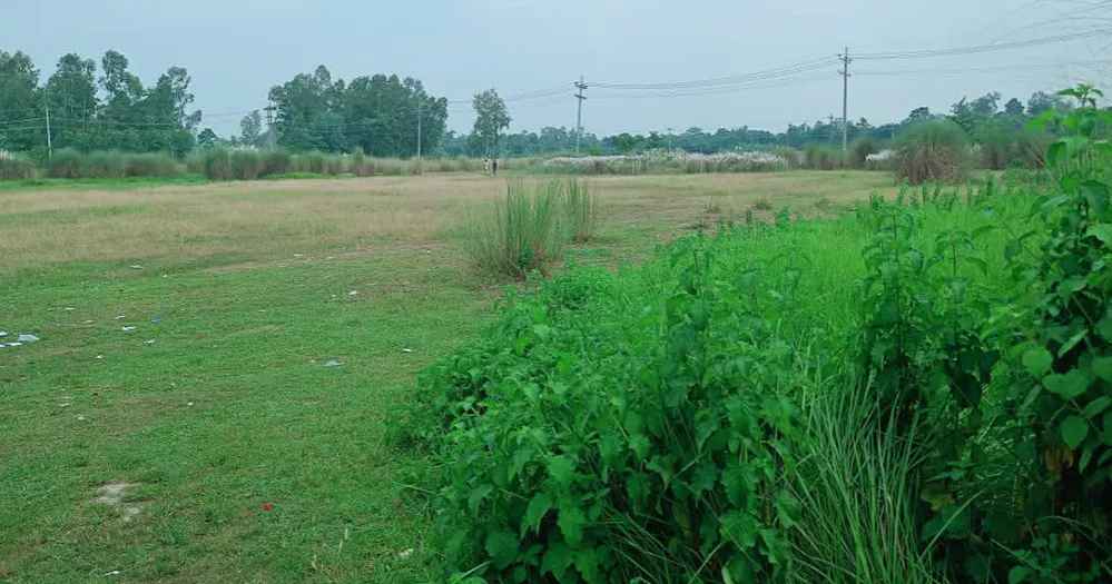 Tk 38-crore women’s sports complex in Rangpur turns into grazing ground!