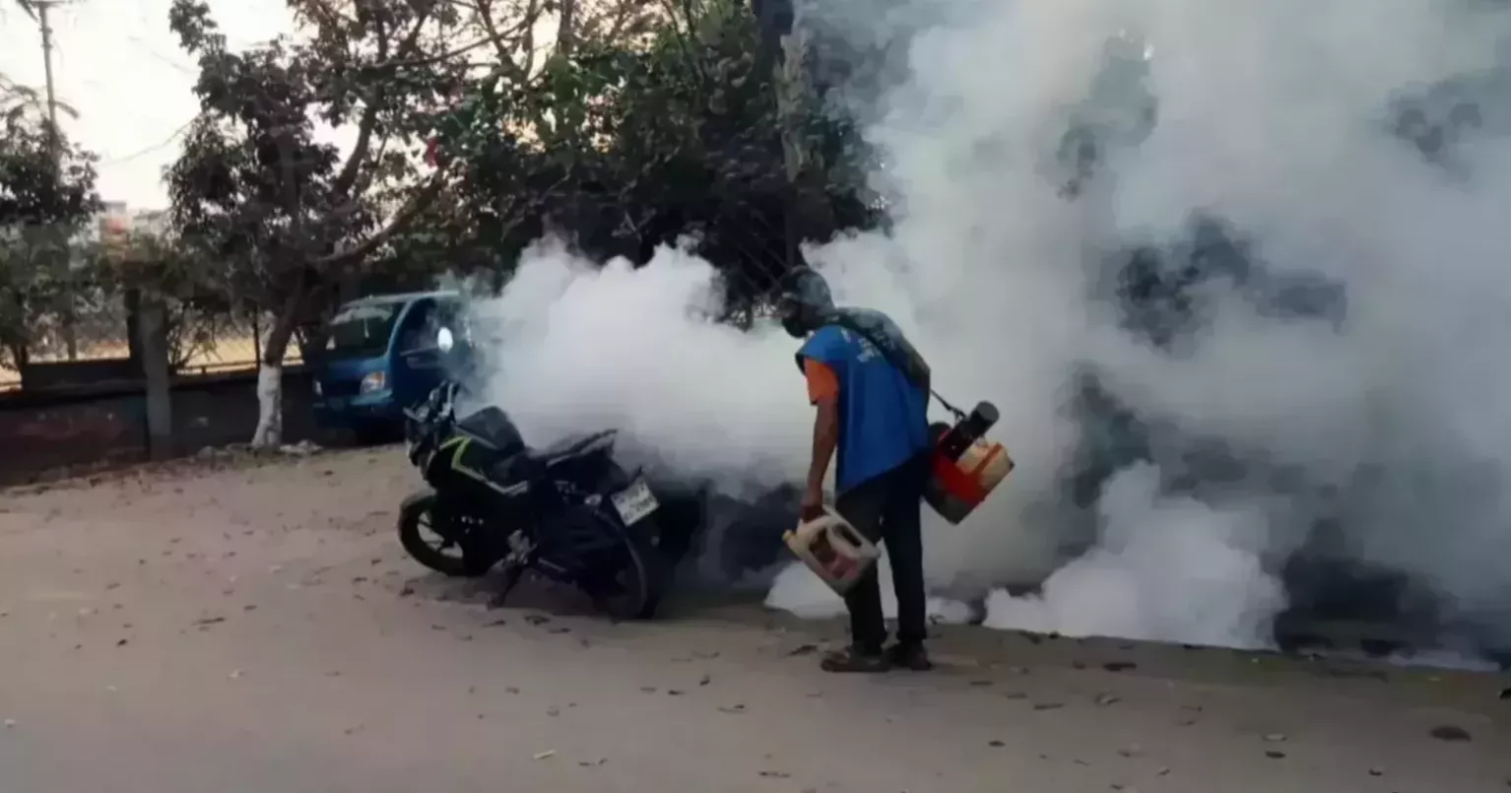 173 hospitalised with dengue in 24 hours