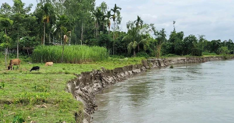 Dharla erosion steals homes and hopes in Lalmonirhat