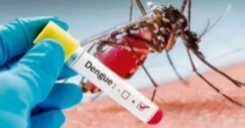 Dengue: One more death reported in 24 hrs