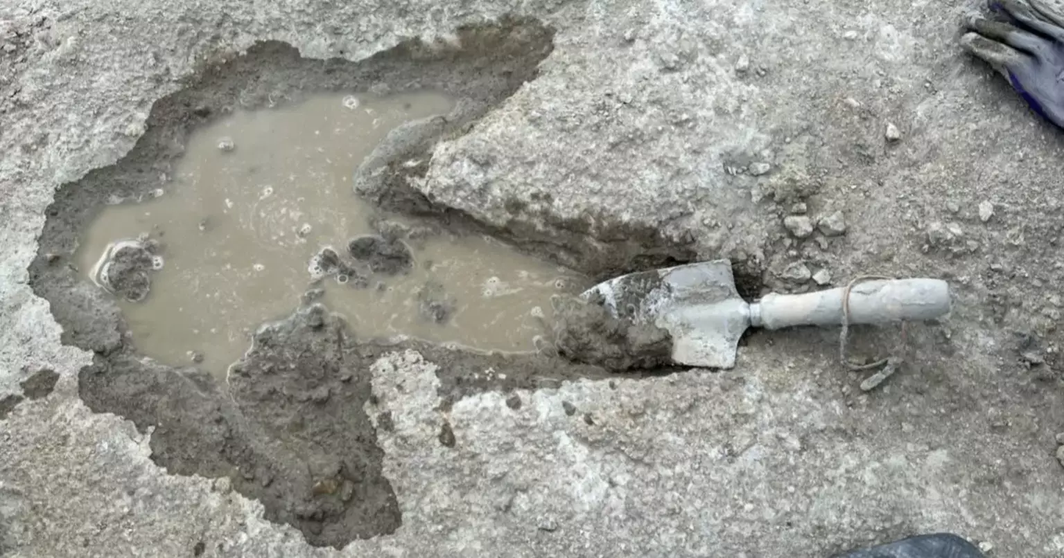 Major science discoveries mark 2025